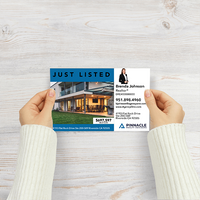 5.5" x 8.5" POSTCARD FRONT/BACK #1 - PINNACLE REALTY